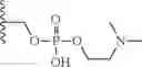 Fig. 37 - Compositions and methods for inhibition of the JAK pathway