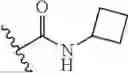 Fig. 40 - Compositions and methods for inhibition of the JAK pathway