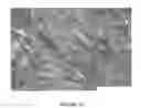 Fig. 20 - ANHYDROUS CRYSTALLINE FREE BASE FORM OF 6-{2-[1-(6-METHYL-3-PYRIDAZINYL)-4-PIPERIDINYL]ETHOXY}-3-ETHOXY-1,2-BENZISOXAZOLE