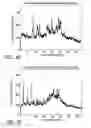Fig. 08 - Processes for the preparation of (3S,4R)-3-ethyl-4-(3H-imidazo[1,2-α]pyrrolo[2,3-e]-pyrazin-8-yl)-N-(2,2,2-trifluorethyl)pyrrolidine-1-carboxamide and solid state forms thereof
