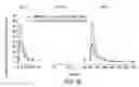 Fig. 41 - Processes for the preparation of (3S,4R)-3-ethyl-4-(3H-imidazo[1,2-α]pyrrolo[2,3-e]-pyrazin-8-yl)-N-(2,2,2-trifluorethyl)pyrrolidine-1-carboxamide and solid state forms thereof