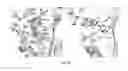 Fig. 19 - Eis inhibitors