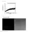 Fig. 03 - Fluorescent probe for detecting calpain activity