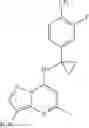 Fig. 92 - Substituted pyrazolo/imidazolo bicyclic compounds as PDE2 inhibitors
