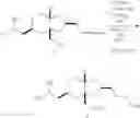 Fig. 30 - Compounds useful in the synthesis of halichondrin B analogs