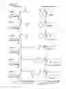 Fig. 13 - Utility of nematode small molecules
