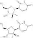 Fig. 241 - Synthesis of Phosphoramidates