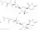 Fig. 243 - Synthesis of Phosphoramidates