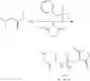 Fig. 313 - Synthesis of Phosphoramidates