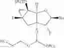 Fig. 05 - TRICYCLIC NUCLEOSIDES AND OLIGOMERIC COMPOUNDS PREPARED THEREFROM