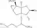 Fig. 08 - TRICYCLIC NUCLEOSIDES AND OLIGOMERIC COMPOUNDS PREPARED THEREFROM