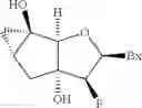Fig. 12 - TRICYCLIC NUCLEOSIDES AND OLIGOMERIC COMPOUNDS PREPARED THEREFROM