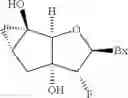 Fig. 13 - TRICYCLIC NUCLEOSIDES AND OLIGOMERIC COMPOUNDS PREPARED THEREFROM