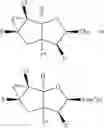 Fig. 17 - TRICYCLIC NUCLEOSIDES AND OLIGOMERIC COMPOUNDS PREPARED THEREFROM