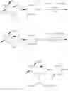 Fig. 22 - TRICYCLIC NUCLEOSIDES AND OLIGOMERIC COMPOUNDS PREPARED THEREFROM