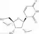 Fig. 113 - 4′-or nucleosides for the treatment of HCV