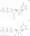 Fig. 52 - 4′-or nucleosides for the treatment of HCV