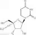 Fig. 65 - 4′-or nucleosides for the treatment of HCV