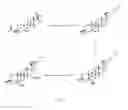 Fig. 02 - Polymorphic forms of an oxysterol and methods of making them