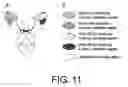 Fig. 12 - POLYPEPTIDE MODIFICATION METHOD FOR PURIFYING POLYPEPTIDE MULTIMERS