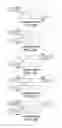Fig. 07 - Multivalent regulatory T cell modulators