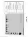 Fig. 02 - IMMUNOGLOBULIN PURIFICATION