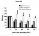 Fig. 06 - Methods for treating headache using antagonist antibodies directed against calcitonin gene-related peptide
