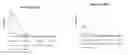 Fig. 01 - Antibodies binding to BMP4, and uses thereof