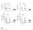 Fig. 08 - Combination therapy for hepatocellular carcinoma