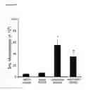 Fig. 30 - Antibodies