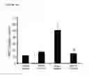 Fig. 32 - Antibodies