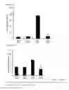Fig. 34 - Antibodies