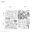 Fig. 35 - Antibodies