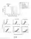 Fig. 10 - CD138-targeted interferon demonstrates potent apoptotic and anti-tumor activities