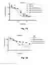 Fig. 28 - CD138-targeted interferon demonstrates potent apoptotic and anti-tumor activities