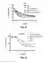 Fig. 29 - CD138-targeted interferon demonstrates potent apoptotic and anti-tumor activities