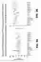 Fig. 10 - Anti-PTK7 antibodies and methods of use