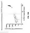 Fig. 24 - Anti-PTK7 antibodies and methods of use