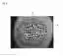 Fig. 03 - Thermoplastic resin foamed particles