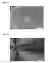 Fig. 04 - Dendritic macroporous hydrogels prepared by crystal templating