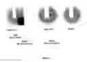 Fig. 06 - Cured guayule rubber containing compositions and method for preparing same