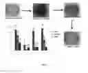 Fig. 03 - Spiropyran based composition and application thereof as security tag
