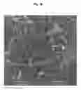 Fig. 08 - Water-based nanofluid heat transfer medium