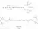 Fig. 07 - LIQUID CRYSTAL MEDIUM AND LIQUID CRYSTAL DISPLAY
