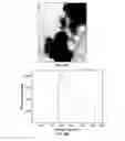 Fig. 16 - Method to produce catalytically active nanocomposite coatings