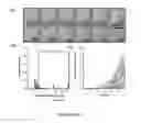 Fig. 13 - System and method for microfluidic cell culture
