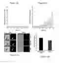 Fig. 15 - System and method for microfluidic cell culture