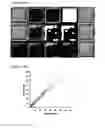 Fig. 19 - System and method for microfluidic cell culture