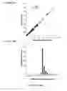 Fig. 22 - System and method for microfluidic cell culture