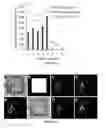 Fig. 25 - System and method for microfluidic cell culture